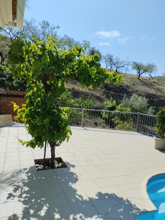 Villa Las Vinas Malaga Bagian luar foto